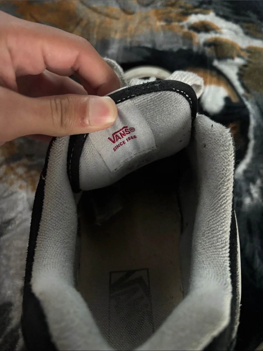 Knu skool vans